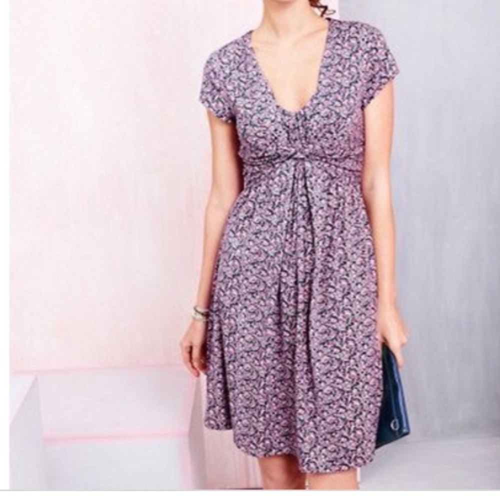 Garnet Hill Garden party short sleeve Dress